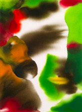 Watercolor: Organic shapes, intense reds, greens and oranges complemented by browns and yellows